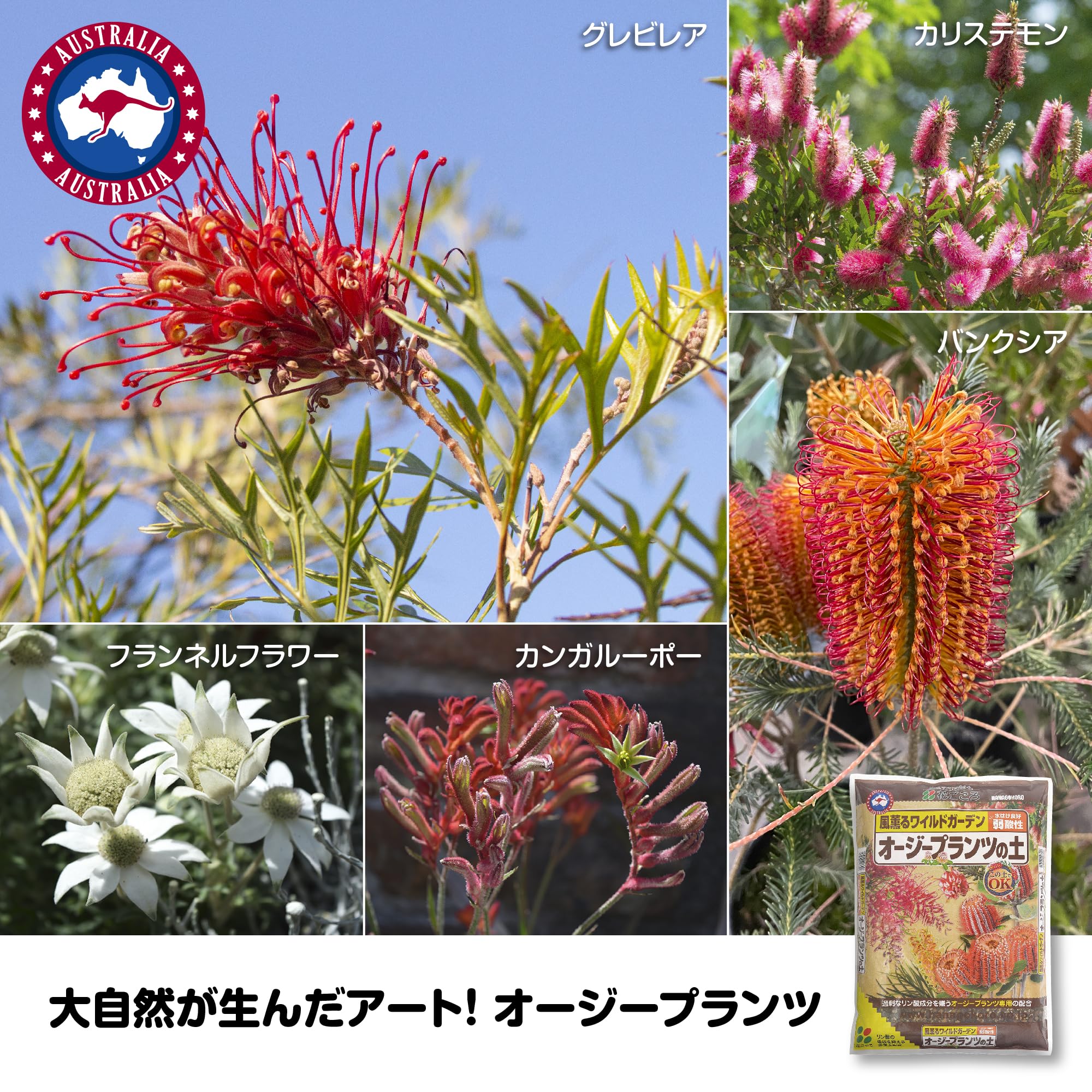 Amazon | 花ごころ オージープランツの土 過度なリン酸成分を嫌う